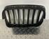 Radiator Grille BMW X5 (E70)