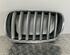 Radiateurgrille BMW X5 (E70)