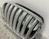 Radiator Grille BMW X5 (E70)