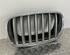 Radiator Grille BMW X5 (E70)