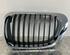 Radiator Grille BMW 3 (E46)