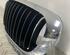 Radiateurgrille BMW 3 (E46)