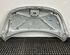 Motorhaube Kühlerhaube Klappe Deckel Silber HYUNDAI i10 PA 66400 0X020