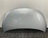 Motorhaube Kühlerhaube Klappe Deckel Silber HYUNDAI i10 PA 66400 0X020