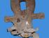 Brake Caliper Carrier MITSUBISHI Colt VI (Z2A, Z3A)