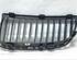 Radiator Grille BMW 3er (E90)