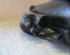 Starter AUDI A4 Avant (8ED, B7)