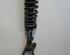 Suspension Strut MAZDA 6 Station Wagon (GY)