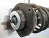 Federbein links vorn  SEAT IBIZA II (6K1) 1.4I 44 KW