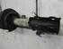 Suspension Strut FORD Fiesta VI (CB1, CCN)