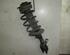 Suspension Strut NISSAN Qashqai +2 I (J10, JJ10E, NJ10)