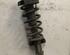 Suspension Strut RENAULT Trafic II Kasten (FL)