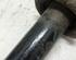 Suspension Strut DAIHATSU Sirion (M3)