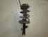 Suspension Strut TOYOTA RAV 4 III (_A3_)