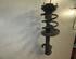 Suspension Strut TOYOTA RAV 4 III (_A3_)