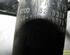 Shock Absorber RENAULT Modus/Grand Modus (F/JP0)