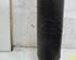 Shock Absorber RENAULT Clio III (BR0/1, CR0/1)