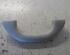 Grab Handle VW Polo (9N)