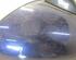 Wing (Door) Mirror OPEL Vectra B (J96)