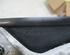 Wing (Door) Mirror SEAT Ibiza III (6L1)