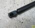 Gas Spring RENAULT Megane Scenic (JA0/1)