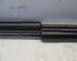 Gas Spring OPEL Corsa D (S07)