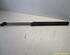 Gas Spring FORD C-MAX (DM2), FORD FOCUS C-MAX (DM2)