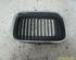 Radiator Grille BMW 3er (E36)