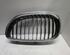 Radiator Grille BMW 5er Touring (E61)