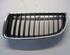 Radiator Grille BMW 3 Touring (E91)