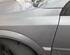 Spatbord OPEL Signum (--)