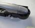 Door Handle RENAULT Clio III (BR0/1, CR0/1)