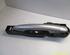 Door Handle RENAULT Clio III (BR0/1, CR0/1)