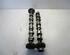 Camshaft AUDI A4 Avant (8ED, B7)