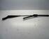 Wiper Arm RENAULT Twingo II (CN0)