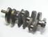 Crankshaft VW Polo (9N)