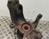 Stub Axle FORD Galaxy (WA6)