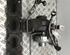 Turbocharger FORD Galaxy (WA6), FORD S-Max (WA6)