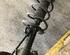 Suspension Strut RENAULT KOLEOS I (HY_)