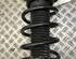 Suspension Strut FORD Galaxy (WA6)