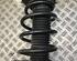 Suspension Strut FORD Galaxy (WA6)