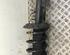 Suspension Strut FORD Galaxy (WA6), FORD S-Max (WA6)