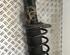 Suspension Strut FORD Galaxy (WA6), FORD S-Max (WA6)