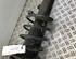 Suspension Strut PEUGEOT 206 Schrägheck (2A/C), PEUGEOT 206 SW (2E/K)