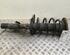 Suspension Strut FORD Galaxy (WA6), FORD S-Max (WA6)