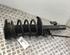 Suspension Strut FORD Galaxy (WA6), FORD S-Max (WA6)