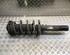 Suspension Strut VW SHARAN (7N1, 7N2)