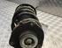 Suspension Strut VW TOURAN (1T1, 1T2), VW TOURAN (1T3), VW TOURAN VAN (1T3)