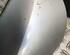 Wing (Door) Mirror RENAULT LAGUNA III (BT0/1)