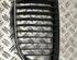 Radiator Grille BMW 1 (E81), BMW 1 (E87)